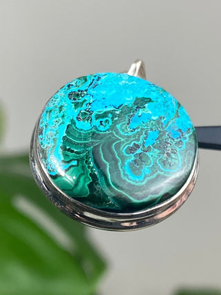 Malachite & Chrysocolla in Sterling Silver Pendant from Curious Muse Crystals for 77. Tagged with blue, chrysocolla, green, hide-notify-btn, malachite, necklace, Pendant, sterling silver