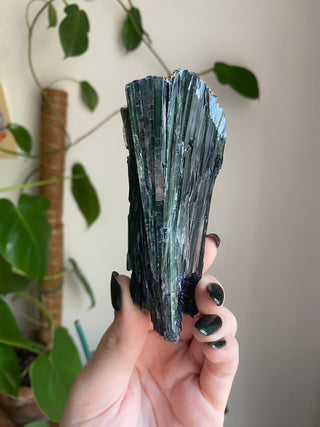 Vivianite Specimen - Spiritual Awareness from Curious Muse Crystals for 333. Tagged with black, blue, collector grade, fine mineral, genuine mineral, green, green blue crystal, high end mineral, natural crystal, raw mineral, raw specimen, raw vivianite, reiki work, vivianite