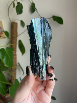 Vivianite Specimen - Spiritual Awareness from Curious Muse Crystals for 333. Tagged with black, blue, collector grade, fine mineral, genuine mineral, green, green blue crystal, high end mineral, natural crystal, raw mineral, raw specimen, raw vivianite, reiki work, vivianite