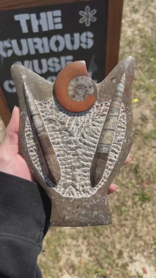 Ammonite & Orthoceras Fossil Statue