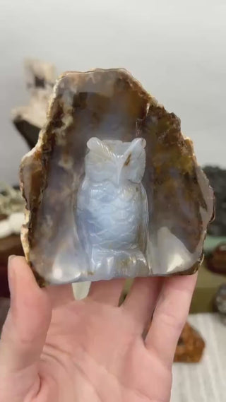 Blue Chalcedony Owl Hand Carved Animal Geode | Crystal Home Decor