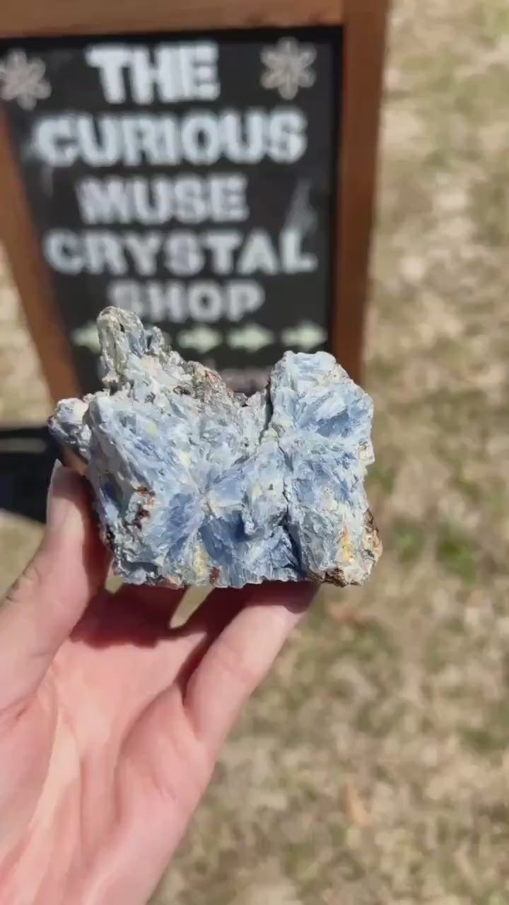 Blue Kyanite Blades in Quartz