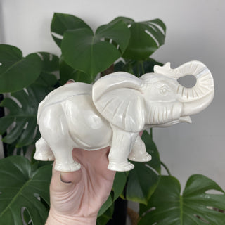 White Jade Elephant from Curious Muse Crystals for 350. Tagged with animal carving, carving, elephant, good fortune, hide-notify-btn, jade, purity, sacred space, statue, white, white jade, wisdom