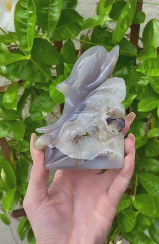 Druzy Agate Animal Guide Carving - Dolphin