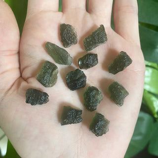 Moldavite Crystal Stone from Czech Republic from Curious Muse Crystals Tagged with clear, crystal energy, crystal healing, genuine tektite, green, manifestation, moldavite, natural moldavite, reiki healing, transformation