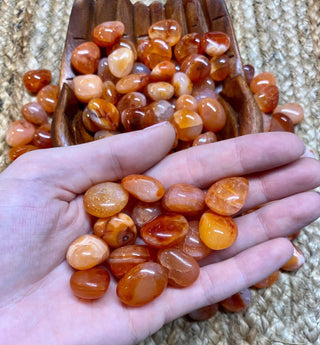 Carnelian Tumbled Stone from Curious Muse Crystals Tagged with abundance stone, creativity stone, Crystal healing, genuine crystal, love stone, orange, passion crystal, red, root chakra, sacral chakra, stability stone, strength crystal, tumbled stone
