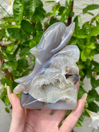 Druzy Agate Animal Guide Carving - Dolphin from Curious Muse Crystals Tagged with animal carving, blue, carving, clear, dolphin, hide-notify-btn
