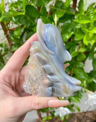 Druzy Agate Animal Guide Carving - Dolphin from Curious Muse Crystals for 88. Tagged with animal carving, blue, carving, clear, dolphin, hide-notify-btn
