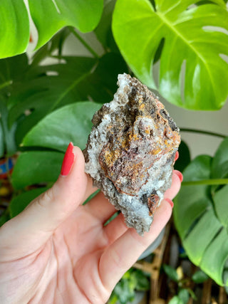 Chocolate Dogtooth Calcite with Hematite inclusions from Santa Eulalia, Mexico from Curious Muse Crystals Tagged with black, brown, calcite, chocolate calcite, clear, crystal energy, dogtooth, hide-notify-btn, mexico, reiki healing, santa eulalia