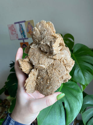 Selenite Gypsum Raw Cluster - Cleansing from Curious Muse Crystals Tagged with crystal energy, gypsum, hide-notify-btn, raw, reiki healing, selenite