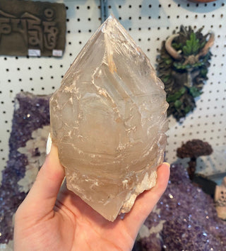 Elestial Fenster Quartz from Brazil - Self-Discovery from Curious Muse Crystals Tagged with clear, clear brazil quartz, elestial, Elestial Quartz, fenster, fenster quartz, hide-notify-btn