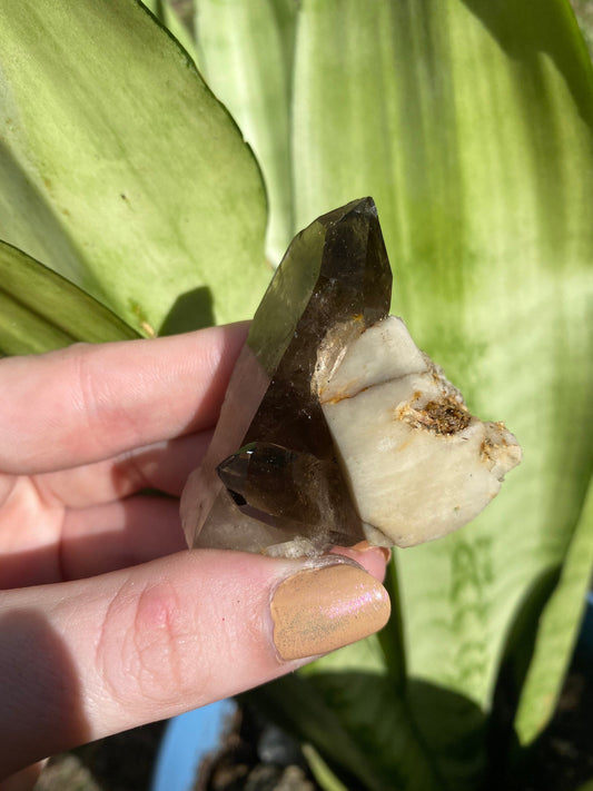 Smoky Quartz and Feldspar from Malawi from Curious Muse Crystals for 38.00. Tagged with Crystal healing, feldspar aegirine, genuine crystal, hide-notify-btn, Malawi mineral, mineral collection, natural mineral, raw mineral, reiki crystal, reiki healing, smoky quartz, zircon crystal