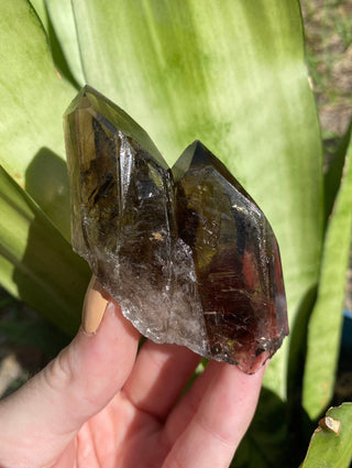 Smoky Quartz from Malawi from Curious Muse Crystals for 34. Tagged with brown, clear, Crystal healing, feldspar aegirine, genuine crystal, hide-notify-btn, Malawi mineral, mineral collection, natural mineral, quartz, raw mineral, reiki crystal, reiki healing, smoky quartz, zircon crystal