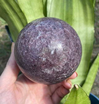 Lepidolite Sphere | Lithium in Mica and Quartz from Curious Muse Crystals Tagged with hide-notify-btn, lepidolite, lithium, mica, purple, purple crystal, sphere