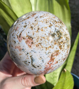 Ocean Jasper Sphere with Druzy Pockets from Curious Muse Crystals Tagged with Crystal healing, drusy pocket, hide-notify-btn, jasper, Madagascar mineral, mineral collection, natural mineral, ocean jasper, Orbicular jasper, peace and calming, purple, reiki healing, sphere, white, yellow