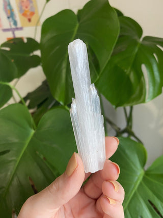 Scolecite Blade - Zeolite - Old Stock from Curious Muse Crystals Tagged with crystal energy, fine mineral, hide-notify-btn, india, reiki healing, scolecite, white, zeolite