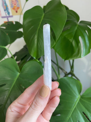 Scolecite Blade - Zeolite - Old Stock from Curious Muse Crystals Tagged with crystal energy, fine mineral, hide-notify-btn, india, reiki healing, scolecite, white, zeolite