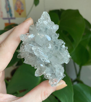 Apophyllite Stalactite | Zeolite | Old Stock from Curious Muse Crystals for 111. Tagged with apophyllite, clear, Crystal healing, fine mineral, gem grade, genuine crystal, glassy apophyllite, mineral collection, natural mineral, old stock mineral, raw mineral, reiki healing, zeolite cluster