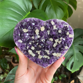 Amethyst Heart with Calcite | Uruguay from Curious Muse Crystals for 222. Tagged with amethyst, amethyst and calcite, amethyst geode heart, calcite on amethyst, carving, Crystal healing, extra dark amethyst, genuine crystal, heart, hide-notify-btn, natural mineral, purple, raw mineral, reiki crystal, uruguay
