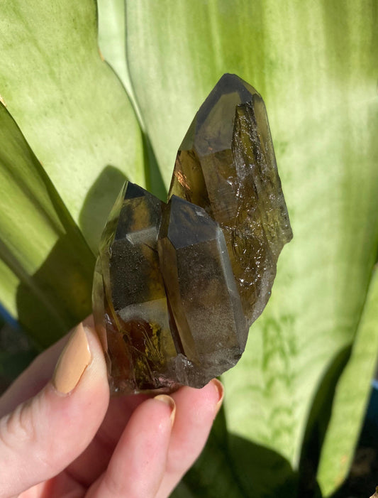 Smoky Quartz from Malawi from Curious Muse Crystals for 34.00. Tagged with Crystal healing, feldspar aegirine, genuine crystal, hide-notify-btn, Malawi mineral, mineral collection, natural mineral, quartz, raw mineral, reiki crystal, reiki healing, smoky quartz, zircon crystal