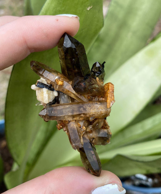 Smoky Quartz with Aegirine and Feldspar Cluster from Malawi from Curious Muse Crystals for 64.00. Tagged with aegirine, Crystal healing, feldspar aegirine, fine mineral, genuine crystal, hide-notify-btn, Malawi mineral, mineral collection, natural mineral, raw mineral, raw specimen, reiki healing, smoky quartz