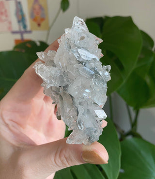 Apophyllite Stalactite | Zeolite | Old Stock from Curious Muse Crystals Tagged with apophyllite, clear, Crystal healing, fine mineral, gem grade, genuine crystal, glassy apophyllite, mineral collection, natural mineral, old stock mineral, raw mineral, reiki healing, zeolite cluster