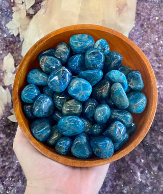 Blue Apatite Tumbled Stone from Curious Muse Crystals for 2. Tagged with apatite, apatite crystal, blue, blue apatite, blue tumbled crystal, communication stone, Crystal healing, genuine crystal, mineral collection, natural mineral, reiki healing, throat chakra, tumbled stone