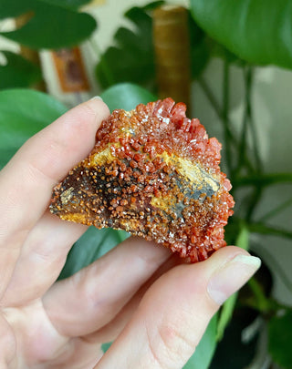Vanadinite Cluster - Creativity & Energy from Curious Muse Crystals for 33. Tagged with bright red crystal, creativity key, genuine crystal, hide-notify-btn, Moroccan Vanadinite, red, red crystal, red hexagon crystal, red Vanadinite, sacral chakra, shadow work, vanadinite cluster