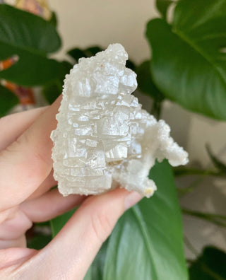Cubic Apophyllite - Old Stock Collector Mineral from Curious Muse Crystals for 55. Tagged with apophyllite, calcite, crystal energy, fine mineral, glassy apophyllite, hide-notify-btn, india, reiki healing, zeolite