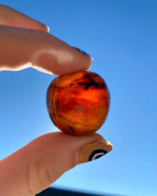 Zebra Amber Tumbled Stone - Balance & Clarity from Curious Muse Crystals Tagged with amber, amber and calcite, brown, Crystal healing, fossilized amber, genuine crystal, hide-notify-btn, high vibrational, mineral specimen, pain relief, real amber, reiki work, tumbled stone, uv reactive, zebra amber