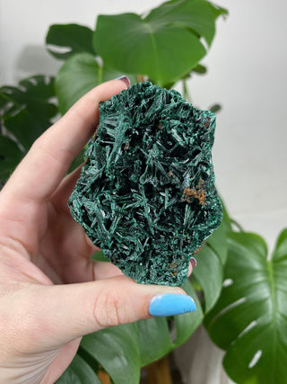 Velvet Malachite Fibrous Raw Cluster - Amplification and Manifestation from Curious Muse Crystals Tagged with Copper Stone, Crystal Healing, Dark Green Stone, Genuine Crystal, green, Hearth Chakra, hide-notify-btn, Malachite, Manifestation, Mineral Collection, Natural Mineral, Prosperity Wealth, Raw Mineral, Reiki Healing
