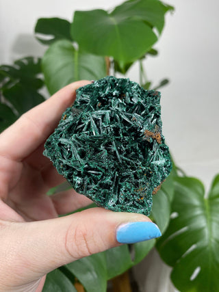 Velvet Malachite Fibrous Raw Cluster - Amplification and Manifestation from Curious Muse Crystals for 52. Tagged with Copper Stone, Crystal Healing, Dark Green Stone, Genuine Crystal, green, Hearth Chakra, hide-notify-btn, Malachite, Manifestation, Mineral Collection, Natural Mineral, Prosperity Wealth, Raw Mineral, Reiki Healing