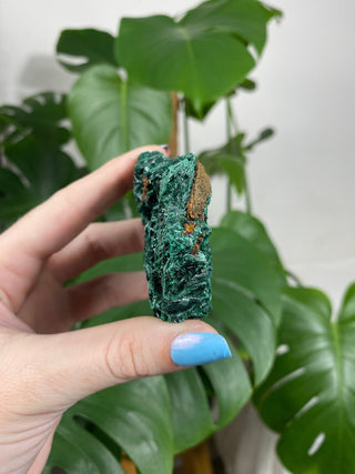 Velvet Malachite Fibrous Raw Cluster - Amplification and Manifestation from Curious Muse Crystals Tagged with Copper Stone, Crystal Healing, Dark Green Stone, Genuine Crystal, green, Hearth Chakra, hide-notify-btn, Malachite, Manifestation, Mineral Collection, Natural Mineral, Prosperity Wealth, Raw Mineral, Reiki Healing