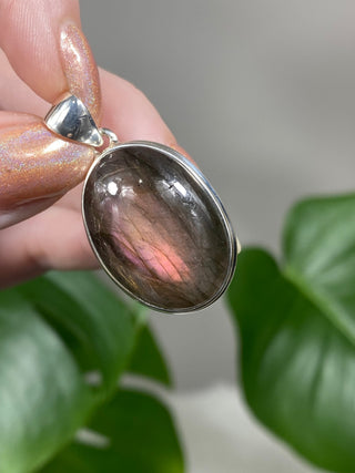 Pink Flash Labradorite in Sterling Silver Pendant - PL5 from Curious Muse Crystals Tagged with big crystal necklace, crystal energy, Crystal Jewelry, full flash lab, hide-notify-btn, Labradorite, peachy labradorite, pink purple lab, psychic protection, reiki healing, silver crystal jewel, sterling silver, witchy jewelry