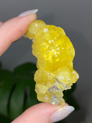 Yellow Brucite - High Grade Collector Mineral - Pakistan from Curious Muse Crystals Tagged with collector mineral, confidence stone, fine mineral, fire solar energy, hide-notify-btn, High grade brucite, Pakistani brucite, rare high end, solar plexus work, yellow, yellow crystal