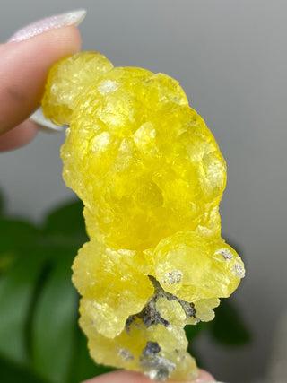 Yellow Brucite - High Grade Collector Mineral - Pakistan from Curious Muse Crystals Tagged with collector mineral, confidence stone, fine mineral, fire solar energy, hide-notify-btn, High grade brucite, Pakistani brucite, rare high end, solar plexus work, yellow, yellow crystal