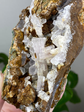 Lavender Aragonite Cave Cluster | Morocco from Curious Muse Crystals Tagged with aragonite, freeform, hide-notify-btn, morocco, purple