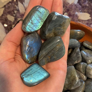 Flashy Labradorite Tumbled Stone from Curious Muse Crystals Tagged with aaa grade lab, blue green flash, Crystal Healing, crystal healing tool, flashy labradorite, full flash lab, madagascar lab, meditation tool, psychic protection, reiki healing, tumbled stone