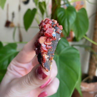 Vanadinite Cluster from Morocco from Curious Muse Crystals Tagged with bright red crystal, creativity key, genuine crystal, hide-notify-btn, Moroccan Vanadinite, red, red crystal, red hexagon crystal, red Vanadinite, sacral chakra, shadow work, vanadinite cluster