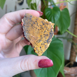 Vanadinite Cluster from Morocco from Curious Muse Crystals Tagged with bright red crystal, creativity key, genuine crystal, hide-notify-btn, Moroccan Vanadinite, red, red crystal, red hexagon crystal, red Vanadinite, sacral chakra, shadow work, vanadinite cluster