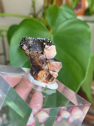 Etched Vanadinite Floater Cluster from Morocco from Curious Muse Crystals Tagged with bright red crystal, creativity key, genuine crystal, hide-notify-btn, Moroccan Vanadinite, red, red crystal, red hexagon crystal, red Vanadinite, sacral chakra, shadow work, vanadinite cluster