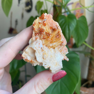 Vanadinite on Barite Cluster from Morocco from Curious Muse Crystals Tagged with bright red crystal, creativity key, genuine crystal, hide-notify-btn, Moroccan Vanadinite, red, red crystal, red hexagon crystal, red Vanadinite, sacral chakra, shadow work, vanadinite cluster