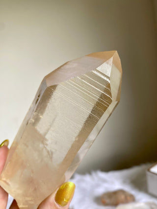 Tangerine Lemurian Seed Quartz - Raw Point Wand from Curious Muse Crystals for 222. Tagged with clear, Crystal healing, genuine crystal, hide-notify-btn, high quality natural, lemurian, Lemurian Quartz, Lemurian seed, lemurian wand, mineral collection, natural mineral, orange, quartz, reiki healing, tangerine quartz