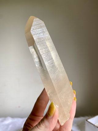 Tangerine Lemurian Seed Quartz - Raw Point Wand from Curious Muse Crystals Tagged with clear, Crystal healing, genuine crystal, hide-notify-btn, high quality natural, lemurian, Lemurian Quartz, Lemurian seed, lemurian wand, mineral collection, natural mineral, orange, quartz, reiki healing, tangerine quartz