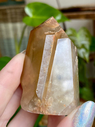 Dreamcoat Lemurian Generator - Polished Brazilian Tower Crystal from Curious Muse Crystals Tagged with clear, clear brazil quartz, dreamcoat lemurian, goethite rutile, hematite amethyst, hide-notify-btn, lemurian, lemurian generator, lemurian seed, purple, red, secondary growth, super seven, synergy seven, yellow