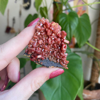 Vanadinite Cluster from Morocco from Curious Muse Crystals Tagged with bright red crystal, creativity key, genuine crystal, hide-notify-btn, Moroccan Vanadinite, red, red crystal, red hexagon crystal, red Vanadinite, sacral chakra, shadow work, vanadinite cluster