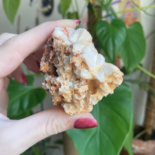 Vanadinite on Barite Cluster from Morocco from Curious Muse Crystals Tagged with bright red crystal, creativity key, genuine crystal, hide-notify-btn, Moroccan Vanadinite, red, red crystal, red hexagon crystal, red Vanadinite, sacral chakra, shadow work, vanadinite cluster