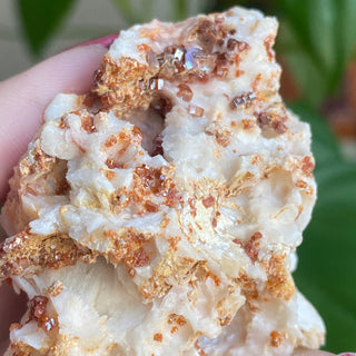 Vanadinite on Barite Cluster from Morocco from Curious Muse Crystals Tagged with bright red crystal, creativity key, genuine crystal, hide-notify-btn, Moroccan Vanadinite, red, red crystal, red hexagon crystal, red Vanadinite, sacral chakra, shadow work, vanadinite cluster