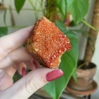 Vanadinite Cluster from Morocco from Curious Muse Crystals Tagged with bright red crystal, creativity key, genuine crystal, hide-notify-btn, Moroccan Vanadinite, red, red crystal, red hexagon crystal, red Vanadinite, sacral chakra, shadow work, vanadinite cluster