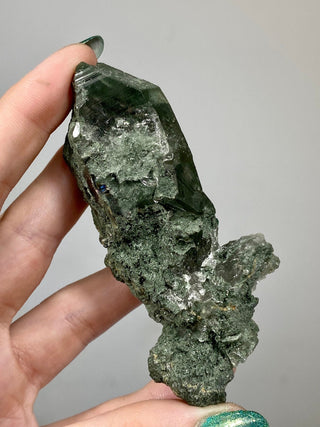 Nirvana Quartz with Green Chlorite Inclusion - High Altitude Himalayan Crystal from Curious Muse Crystals for 97. Tagged with chlorite, chlorite inclusion, clear, green, green Quartz, hand mined crystal, hide-notify-btn, high altitude quartz, High vibration stone, Himalayan Quartz, Nirvana Quartz
